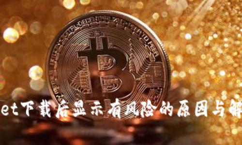 TPWallet下载后显示有风险的原因与解决方案