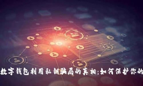 揭开数字钱包利用私钥骗局的真相：如何保护你的资产