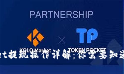 TPWallet提现操作详解:你需要知道的一切