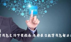 优质  数字钱包支付下载指南：选择最