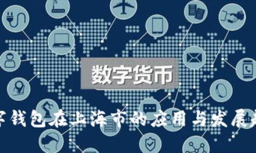 数字钱包在上海市的应用与发展趋势