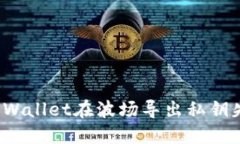 如何解决TPWallet在波场导出私钥失败的