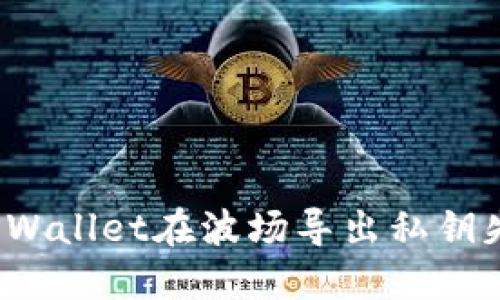 如何解决TPWallet在波场导出私钥失败的问题?