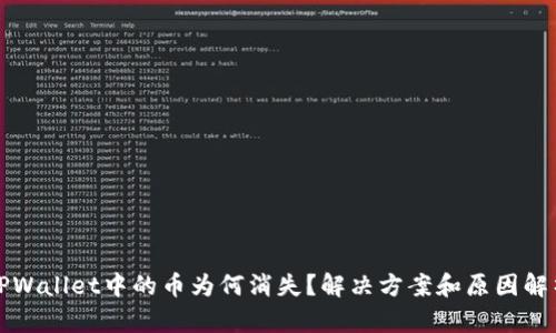 TPWallet中的币为何消失?解决方案和原因解析