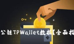如何查看波场公链TPWallet数据？全面指