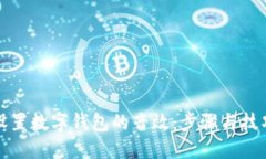 如何设置数字钱包的音效：步骤与技巧