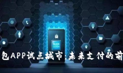 数字钱包APP试点城市：未来支付的前沿探索