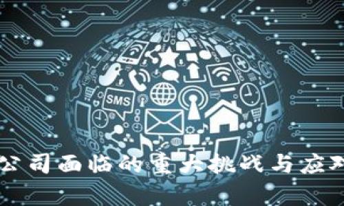 TPWallet公司面临的重大挑战与应对策略分析