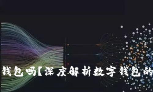 有必要存入数字钱包吗？深度解析数字钱包的优势与潜在风险