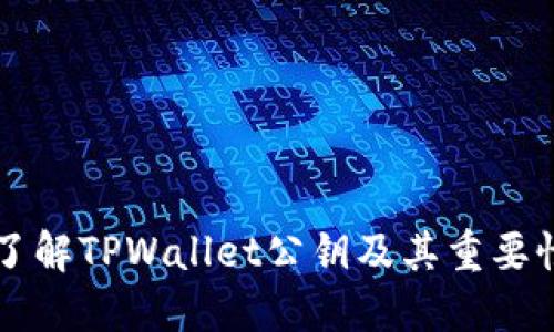 了解TPWallet公钥及其重要性