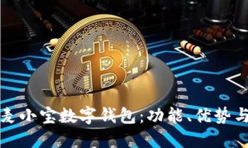 全面解读麦小宝数字钱包:功能、优势与使用技巧