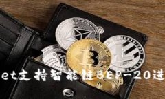 如何使用TPWallet支持智能链BEP-20进行数