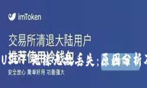 tpwallet USDT 无缘无故丢失：原因分析及解决方法