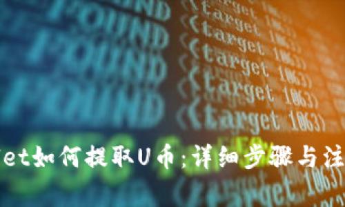 TPWallet如何提取U币：详细步骤与注意事项