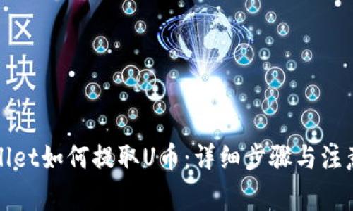 TPWallet如何提取U币：详细步骤与注意事项