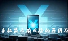 TPWallet手机显示有风险的原因及解决方