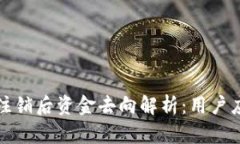 数字钱包注销后资金去向解析：用户应