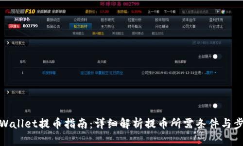 TPWallet提币指南:详细解析提币所需条件与步骤