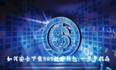 如何安全下载BDS数字钱包：一步步指南
