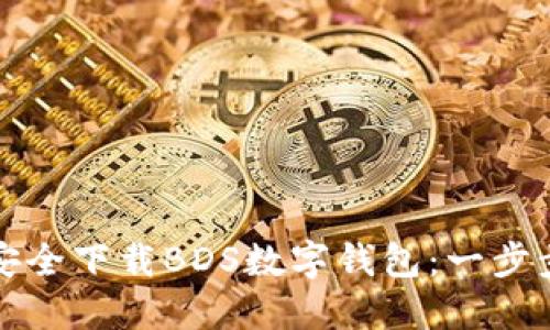 如何安全下载BDS数字钱包:一步步指南
