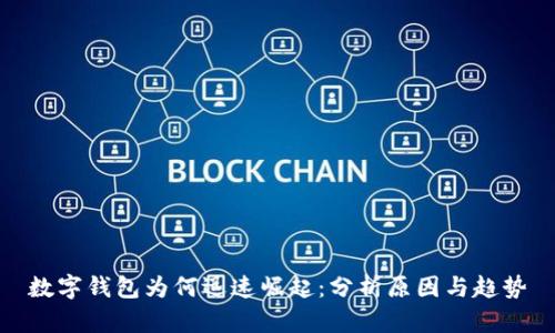 数字钱包为何迅速崛起:分析原因与趋势