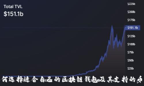 如何选择适合自己的区块链钱包及其支持的币种