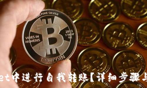 如何在TPWallet中进行自我转账?详细步骤与注意事项解析