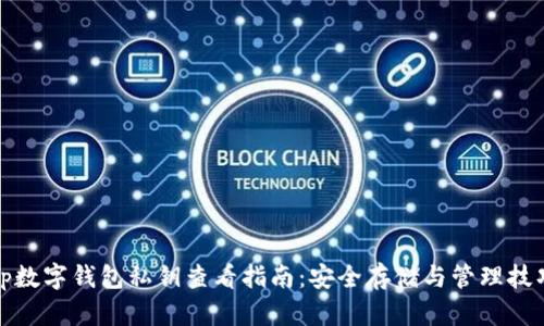 tp数字钱包私钥查看指南:安全存储与管理技巧