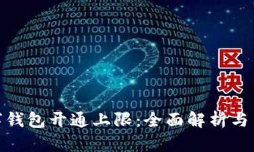 数字钱包开通上限:全面解析与策略