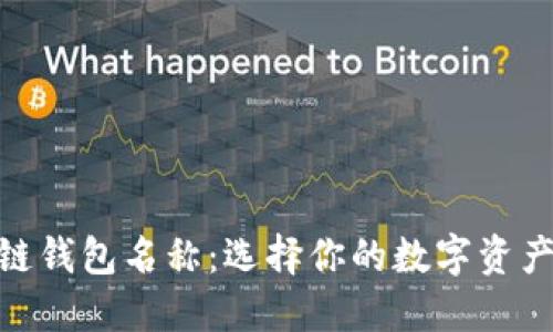 最佳区块链钱包名称:选择你的数字资产安全之道