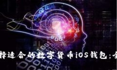 如何选择适合的数字货币iOS钱包：全面