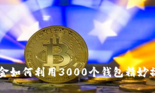 揭秘主力资金如何利用3000个钱包精妙操作加密货币