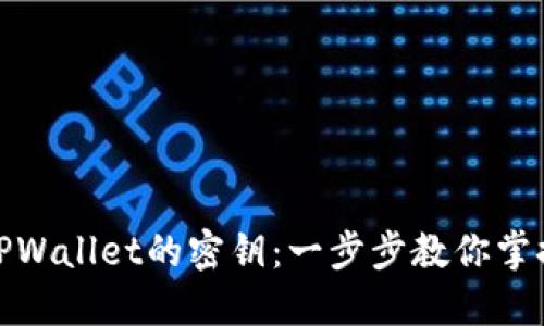 如何查看TPWallet的密钥：一步步教你掌握安全钥匙