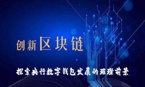 探索央行数字钱包发展的璀璨前景