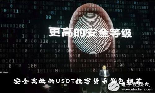安全高效的USDT数字货币钱包推荐
