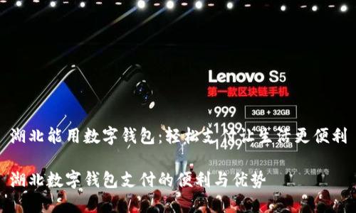 湖北能用数字钱包：轻松支付让生活更便利

湖北数字钱包支付的便利与优势