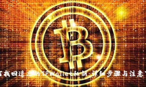 如何找回遗忘的TPWallet私钥：详细步骤与注意事项