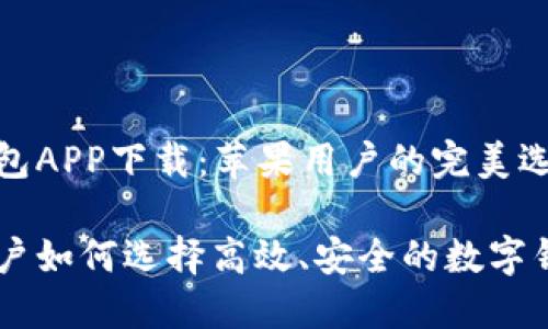 数字钱包APP下载：苹果用户的完美选择

苹果用户如何选择高效、安全的数字钱包APP