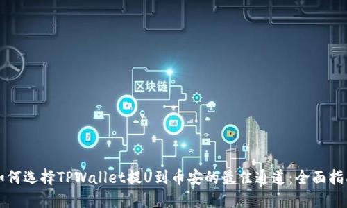 如何选择TPWallet提U到币安的最佳通道：全面指南