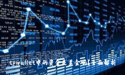 tpwallet中的资金是美金吗？全面解析