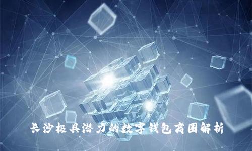 长沙极具潜力的数字钱包商圈解析