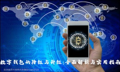 数字钱包的降级与升级：全面解析与实用指南