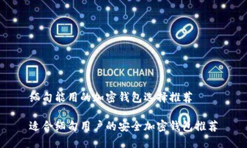 缅甸能用的加密钱包选择推荐

适合缅甸用户的安全加密钱包推荐