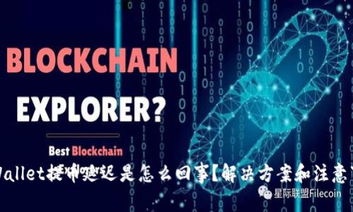 TPWallet提币延迟是怎么回事？解决方案和注意事项