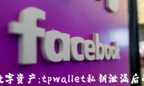 
保护您的数字资产：tpwallet私钥泄漏后的应对策略
