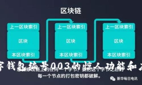 探索数字钱包编号003的惊人功能和应用场景