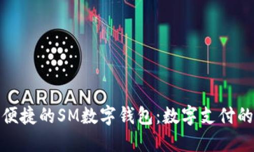 打造安全便捷的SM数字钱包：数字支付的未来之选