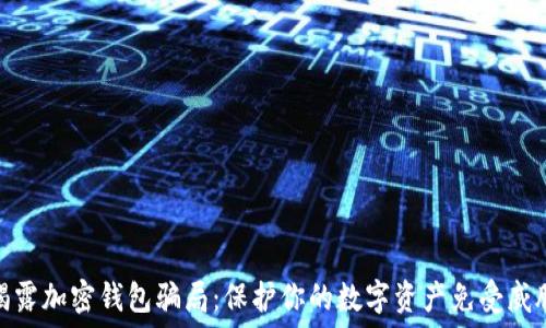   
揭露加密钱包骗局：保护你的数字资产免受威胁