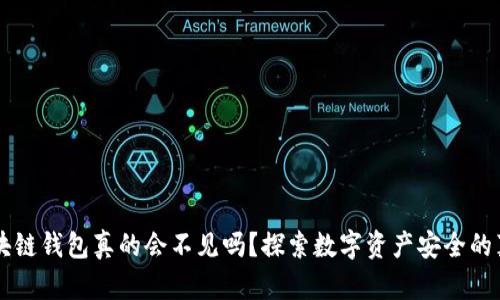 区块链钱包真的会不见吗？探索数字资产安全的真相