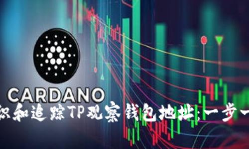 如何辨识和追踪TP观察钱包地址：一步一步跟随